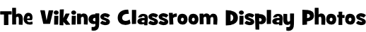 The Vikings Classroom Display Photos