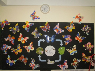 Butterflies Life Cycle and Symmetry