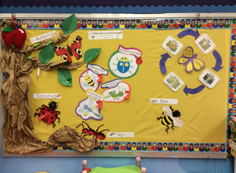 Insect Classroom Display Photo SparkleBox