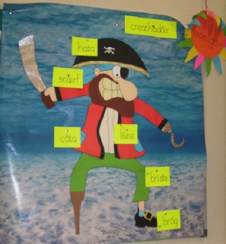 Labelled Pirate