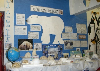 Polar Bear of the Arctic
