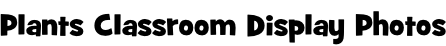 Plants Classroom Display Photos