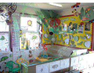 Minibeast Research Role-Play Area