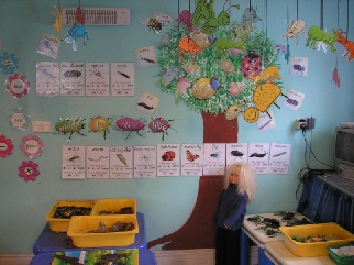 Minibeasts Role-Play Area