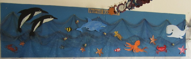 Animal Kingdom - Under the Sea