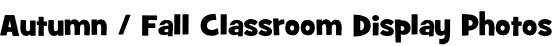 Autumn / Fall Classroom Display Photos
