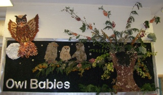 Owl Babies