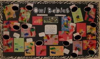 Owl Babies