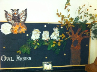Owl Babies