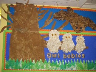 Owl Babies