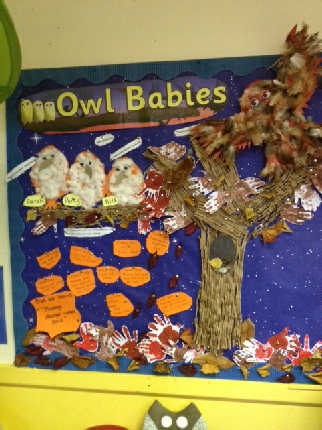 Owl Babies Story Book