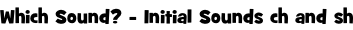 Which Sound? - Initial Sounds ch and sh