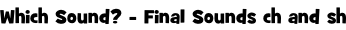 Which Sound? - Final Sounds ch and sh