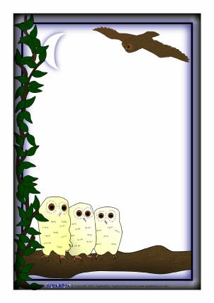 Owl babies video image