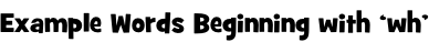Example Words Beginning with ‘wh’