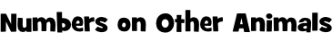 Numbers on Other Animals