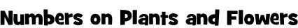 Numbers on Plants and Flowers
