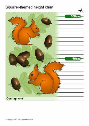 Printable Height Chart Classroom