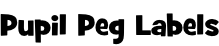 Pupil Peg Labels