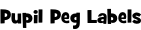 Pupil Peg Labels