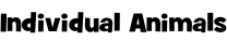 Individual Animals