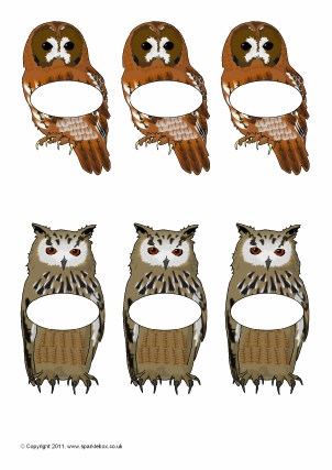 Owl Themed Classroom Printables Sparklebox