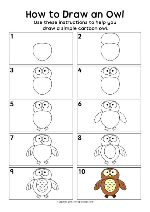 How to Draw a Owl for Children - A Step-by-Step Guide With Pictures