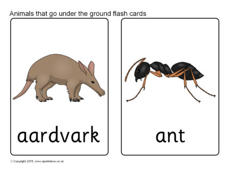 Animals that Go Under the Ground Flash Cards (SB11318) - SparkleBox