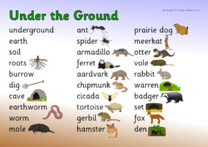 Animals Under The Ground