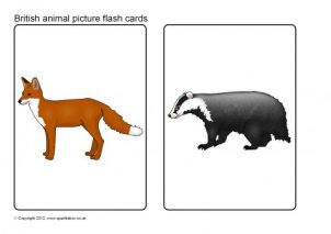 Animal Flash Cards Printables for Primary School - SparkleBox