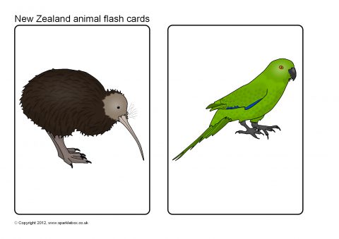 New Zealand Animal Picture Flash Cards (SB7806) - SparkleBox