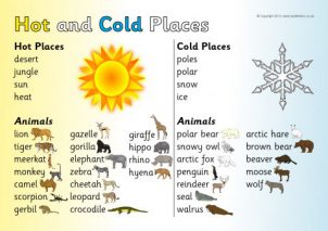 Hot and Cold Places Printables for Primary School - SparkleBox