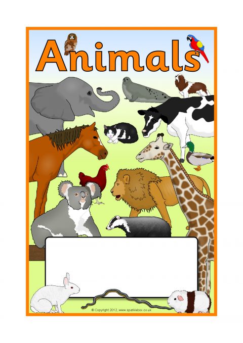 Animals Editable Topic Book Covers (SB7948) - SparkleBox