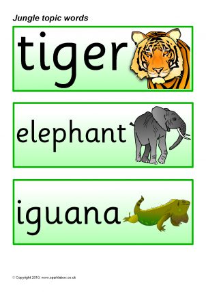 Jungle / Rainforest Printables for Primary School - SparkleBox