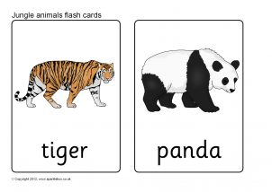 Animal Flash Cards Printables for Primary School - SparkleBox
