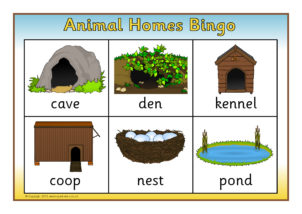 Animal Homes Printables for Primary School - SparkleBox