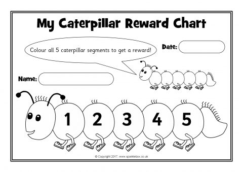 Caterpillar Chart