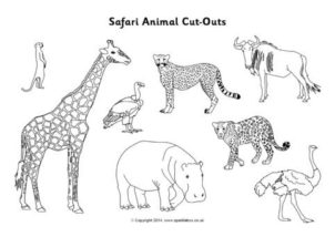 African Safari / Savannah Printables for Primary School - SparkleBox