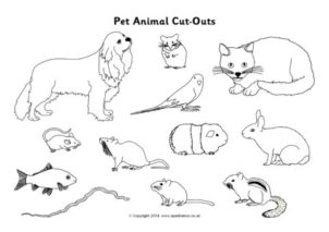 Pet Animals Printables for Primary School - SparkleBox