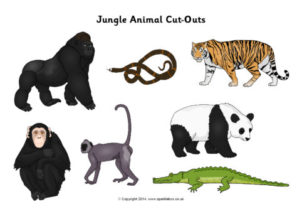 Jungle / Rainforest Printables for Primary School - SparkleBox