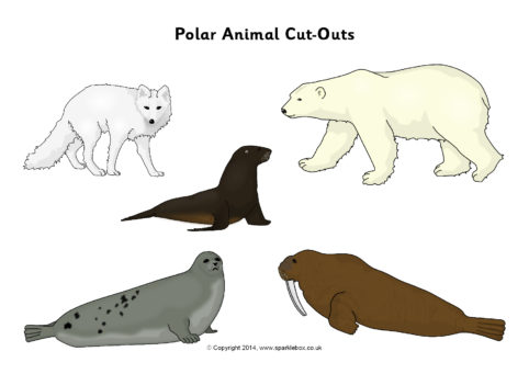Polar Animal Cut-Outs (SB10325) - SparkleBox