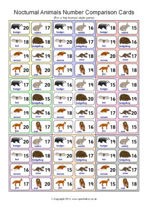 Nocturnal Animals Printables for Primary School - SparkleBox