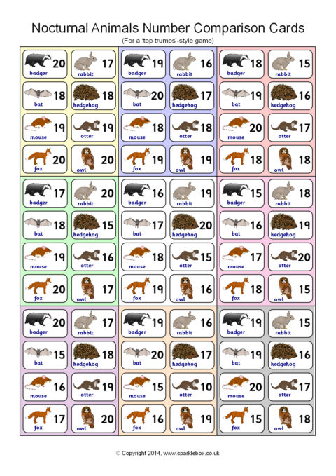 Compare animals. Comparatives Cards animals. Animals Comparison. Nocturnal animals list. Nocturnal animals Worksheets.
