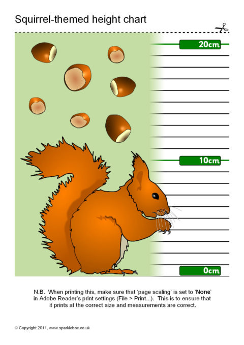 Squirrel Size Chart