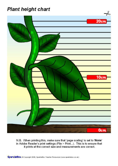 Sparklebox Height Chart