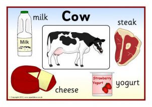 Food from Animals Printables for Primary School - SparkleBox