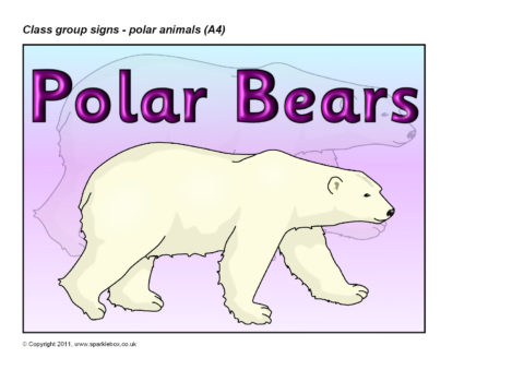Polar Animal-Themed Class Group Signs – A4 (SB5484) - SparkleBox
