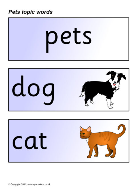 Type of pet. Pets Words. Cat and Dog Flashcards. Pets topic. Pets Flashcards.