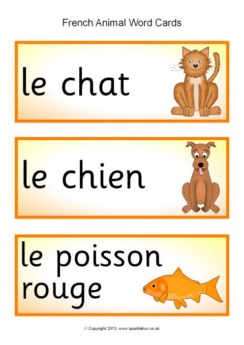 French Animal Word Cards (SB1316) - SparkleBox