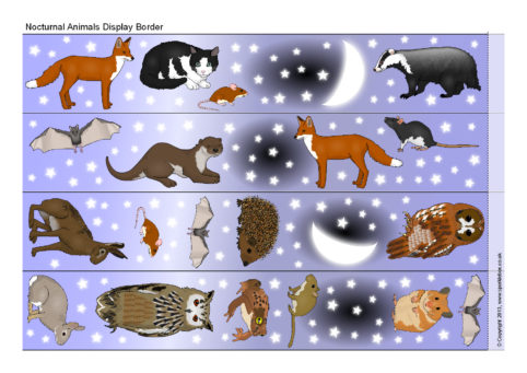 Nocturnal Animals Display Borders (SB9370) - SparkleBox